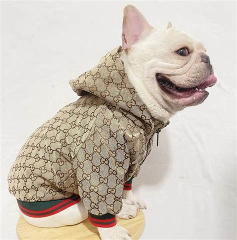 fake gucci shirt puppies|gucci raincoat for dogs.